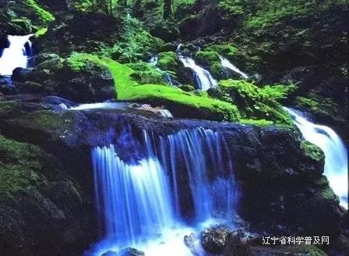 孩子没人带时你会怎么做？