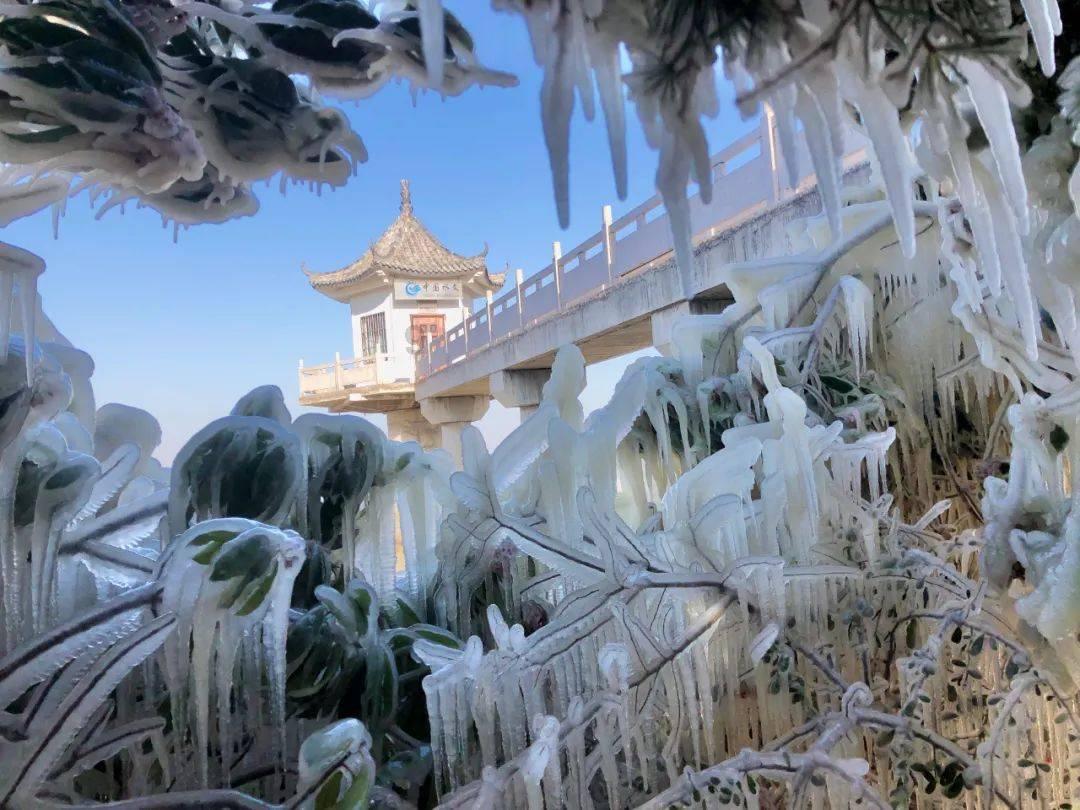 虫虫助手下载